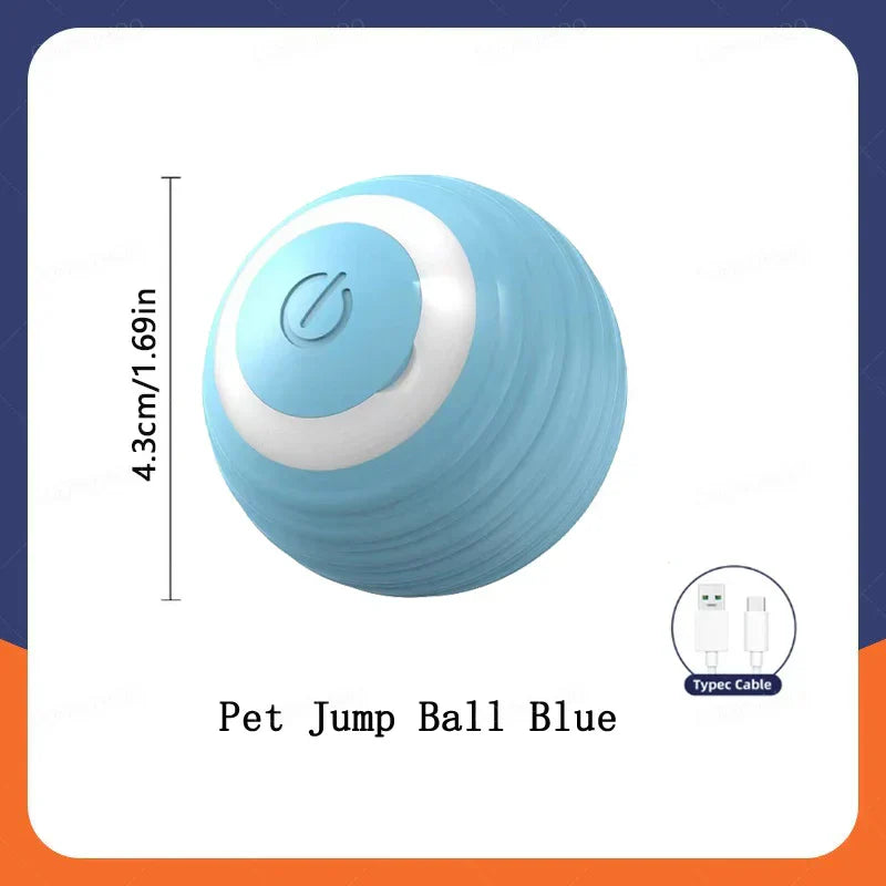 🐾 WAGGERBALL - The Interactive Pet Ball That Never Stops Moving! - YN