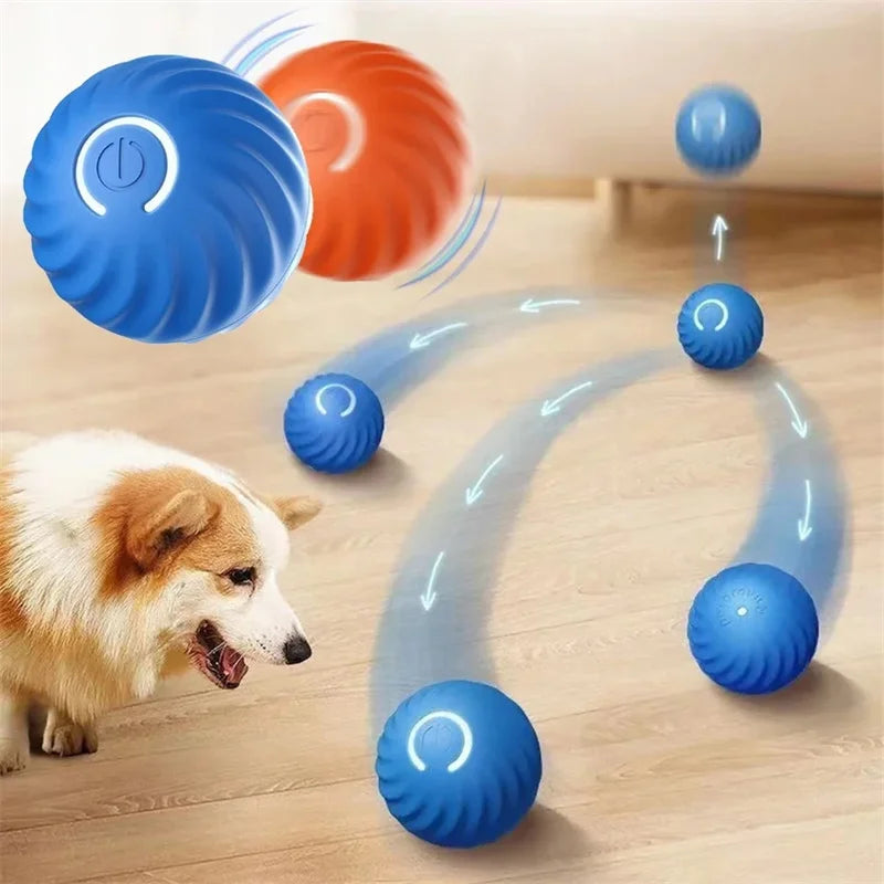 🐾 WAGGERBALL - The Interactive Pet Ball That Never Stops Moving! - YN