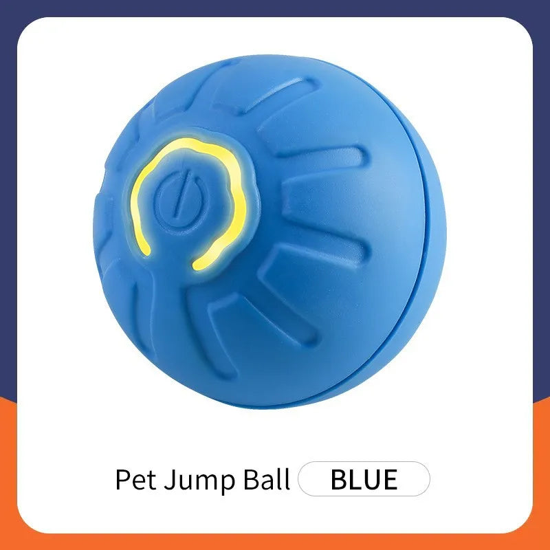 🐾 WAGGERBALL - The Interactive Pet Ball That Never Stops Moving! - YN