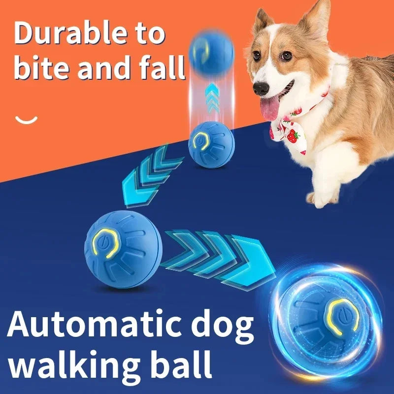 🐾 WAGGERBALL - The Interactive Pet Ball That Never Stops Moving! - YN