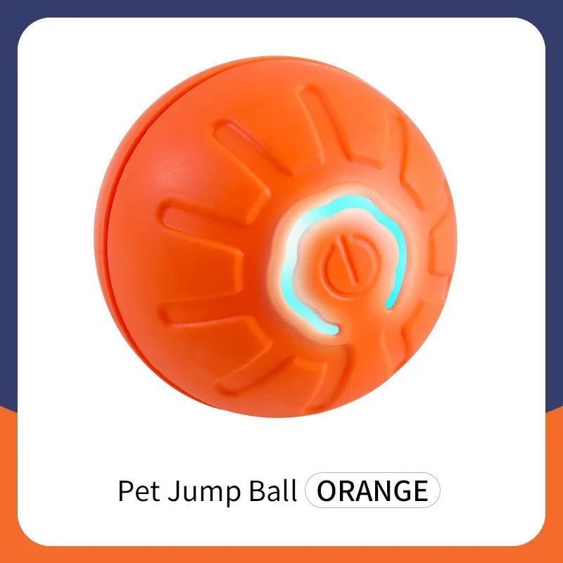 🐾 WAGGERBALL - The Interactive Pet Ball That Never Stops Moving! - YN