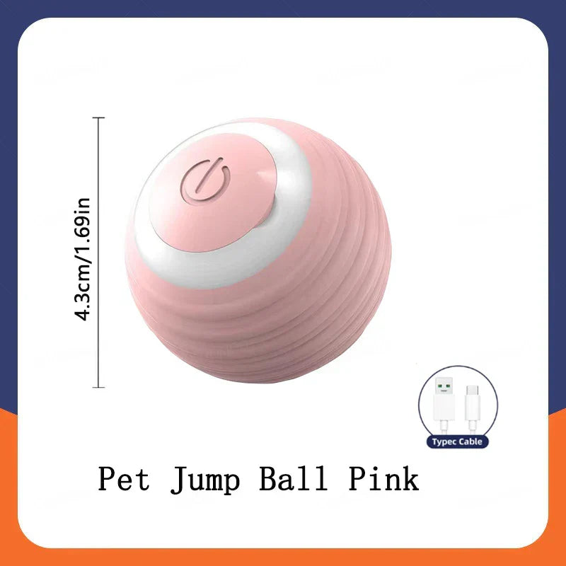 🐾 WAGGERBALL - The Interactive Pet Ball That Never Stops Moving! - YN